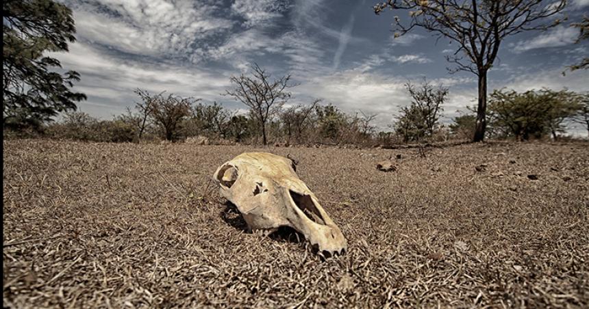 Sin naturaleza no hay humanidad