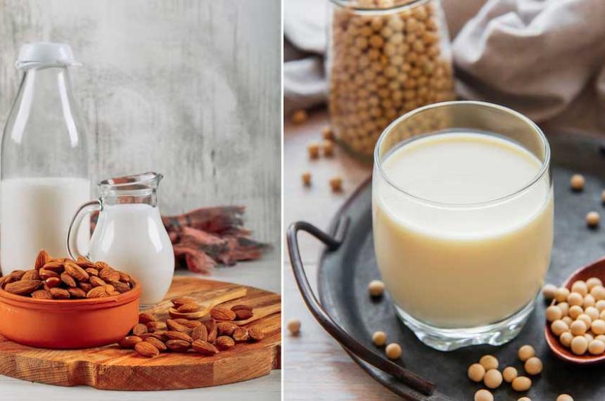 iquestLeche de soja o de almendras Cuaacutel es mejor para reducir el colesterol